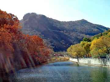 新澳天天开奖资料大全旅游团，明锐油耗